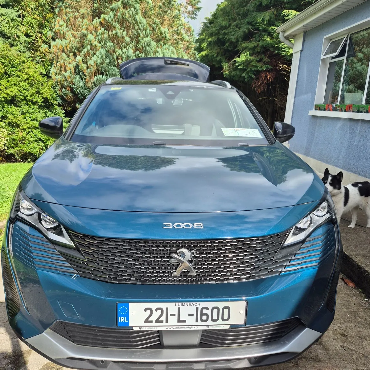 Peugeot 3008 2022 - Image 6