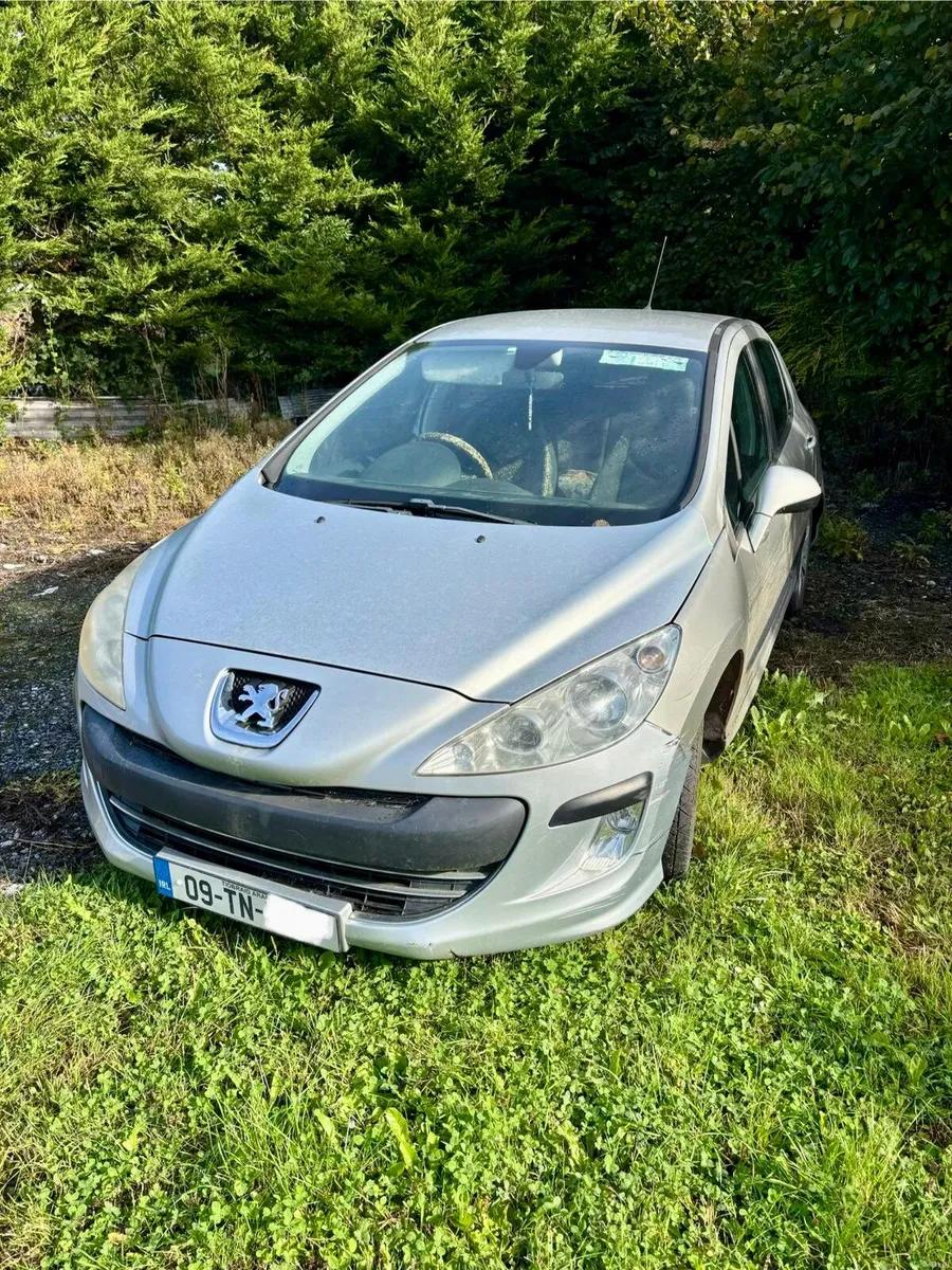 Peugeot 308 - Image 1