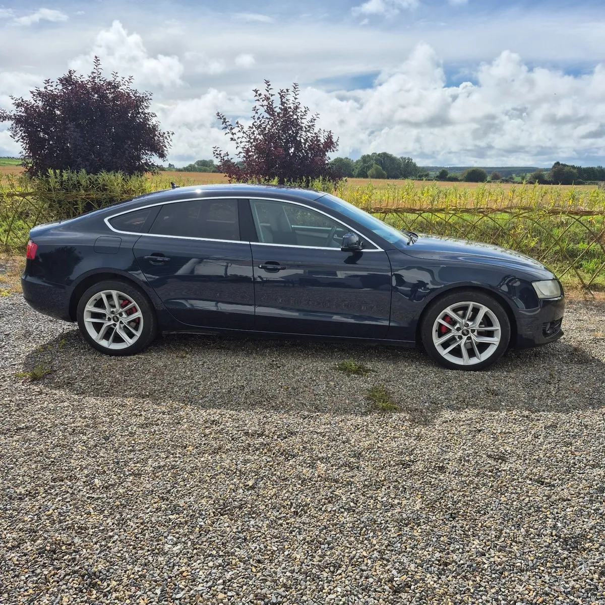 Audi A5 2.0 TDI Sportback 170 HP  Low Mileage - Image 3
