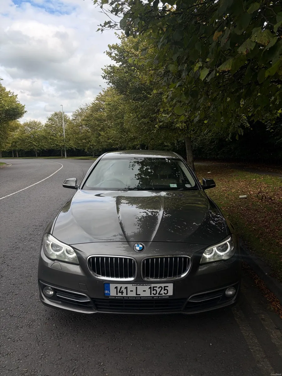 BMW 520d Luxury - Image 1