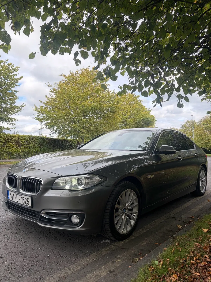 BMW 520d Luxury - Image 2