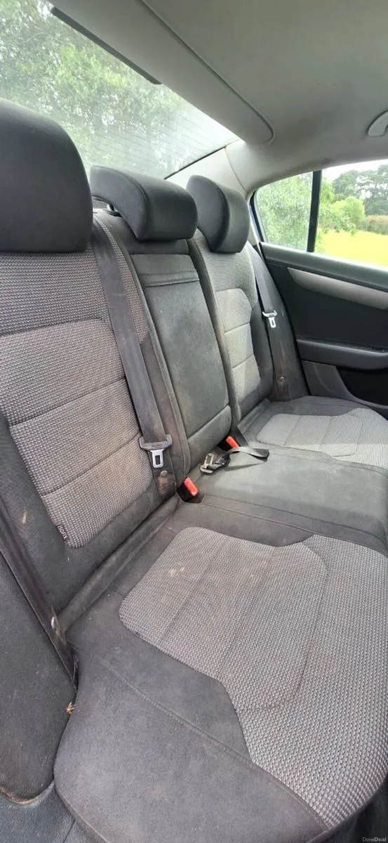 Passat - Image 5