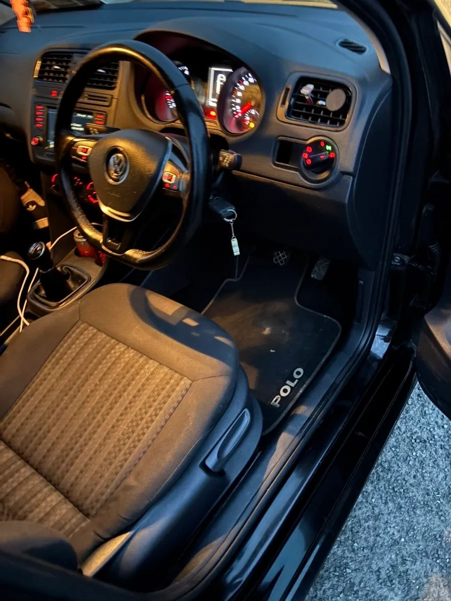 181 1L polo - Image 3