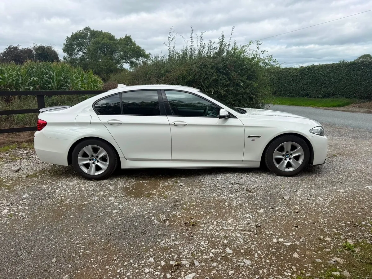 BMW 520 - Image 2
