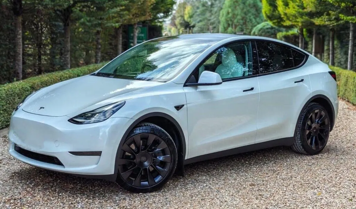 242 Tesla Model Y RWD - Image 3