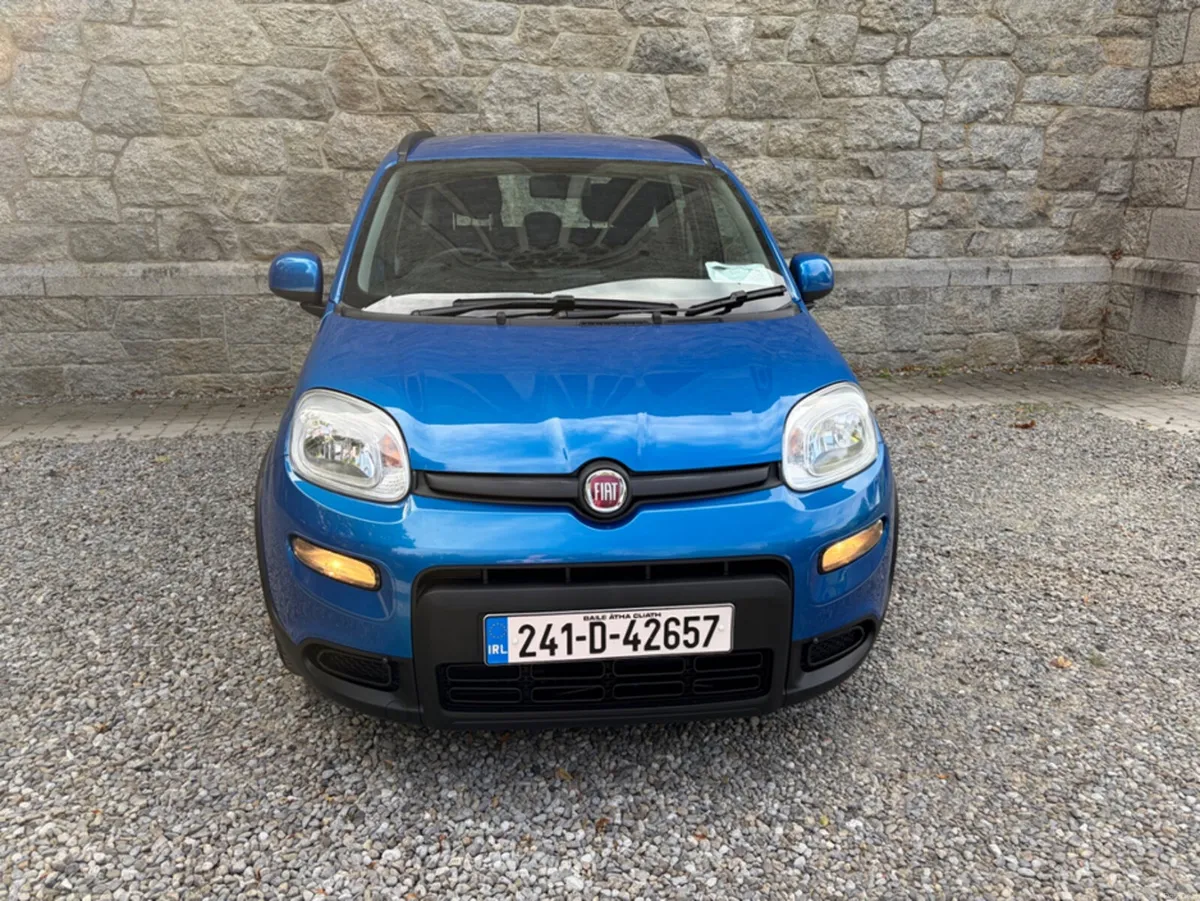 Fiat Panda 1.0 MHEV - Image 4