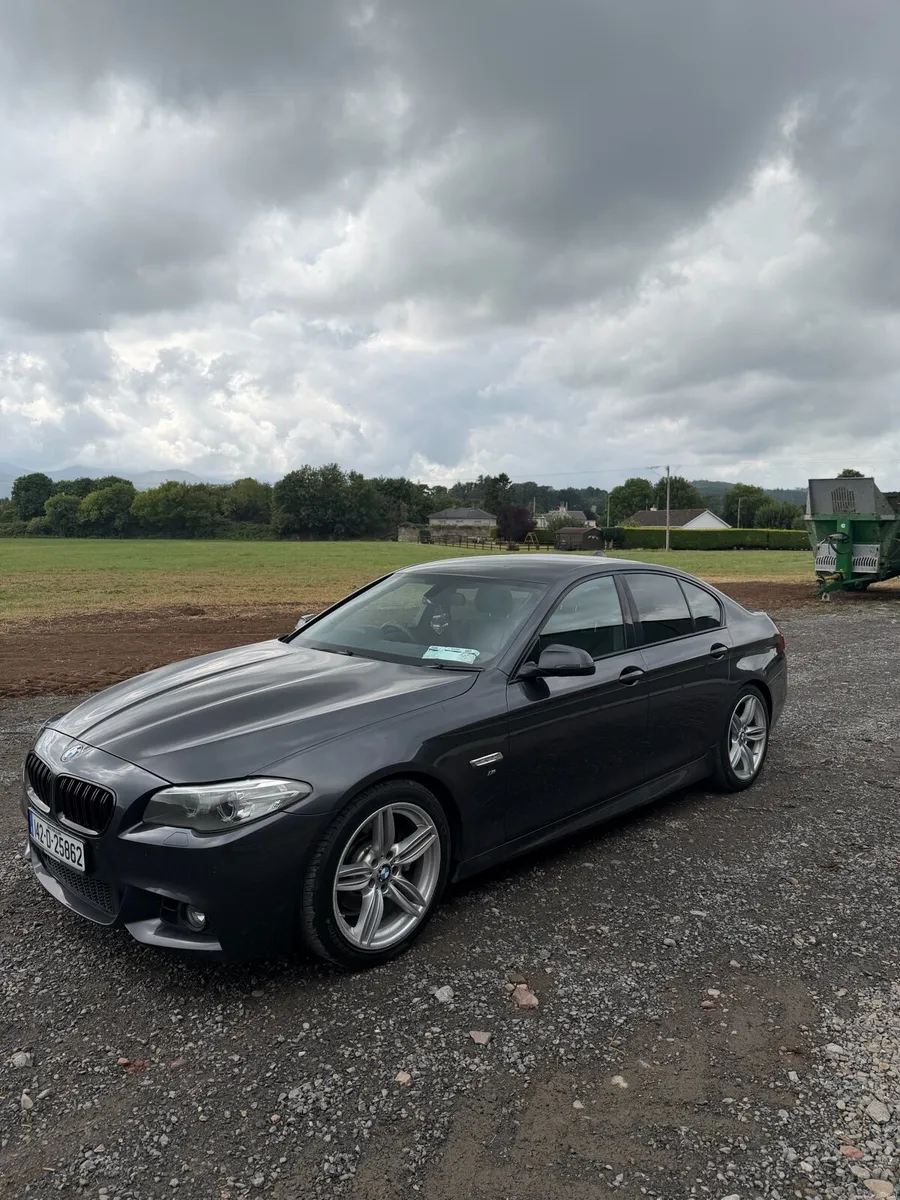 520d Msport bmw (f10) - Image 2