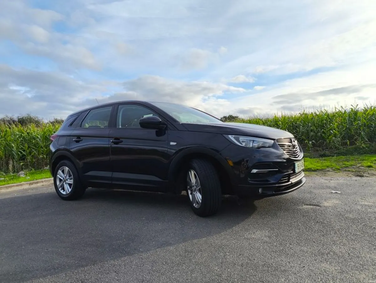 2019 Opel Grandland X - Image 1