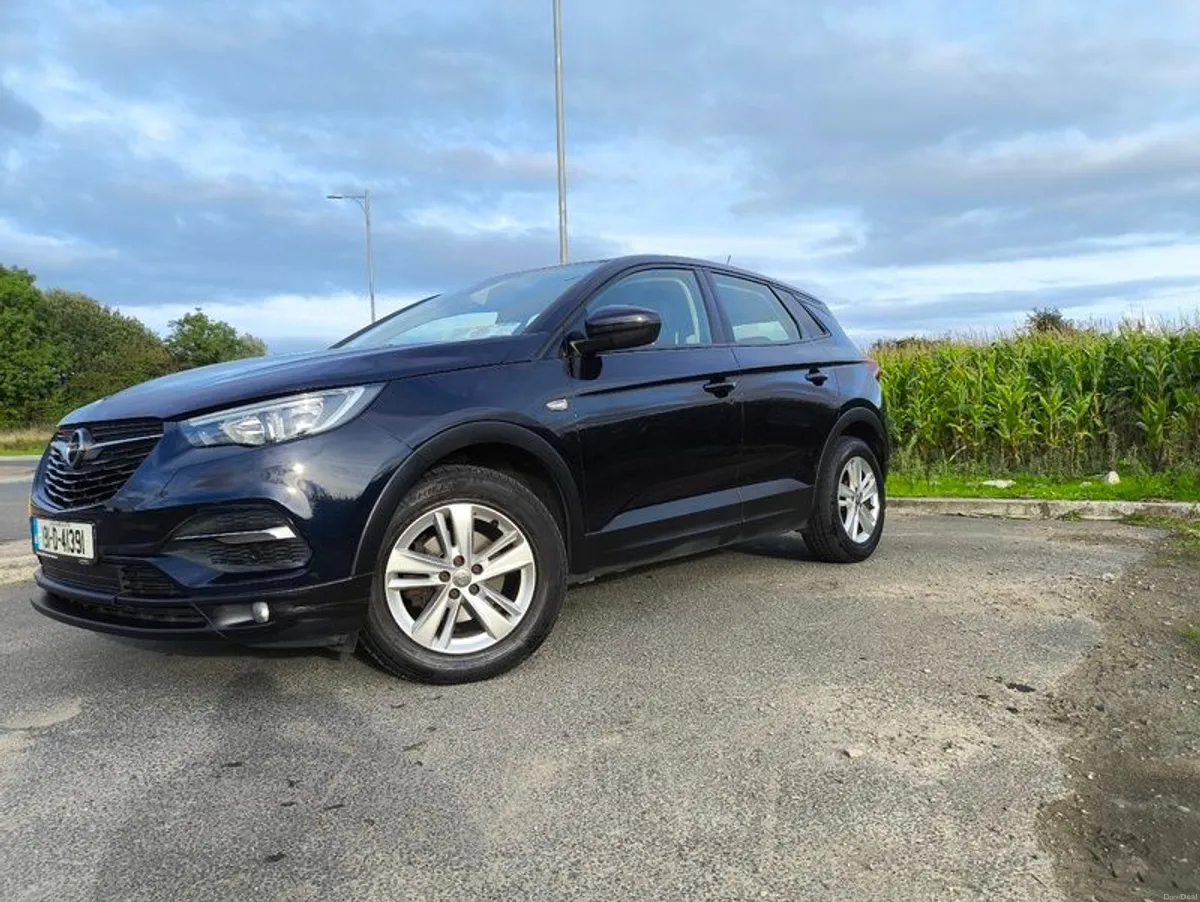 2019 Opel Grandland X - Image 3