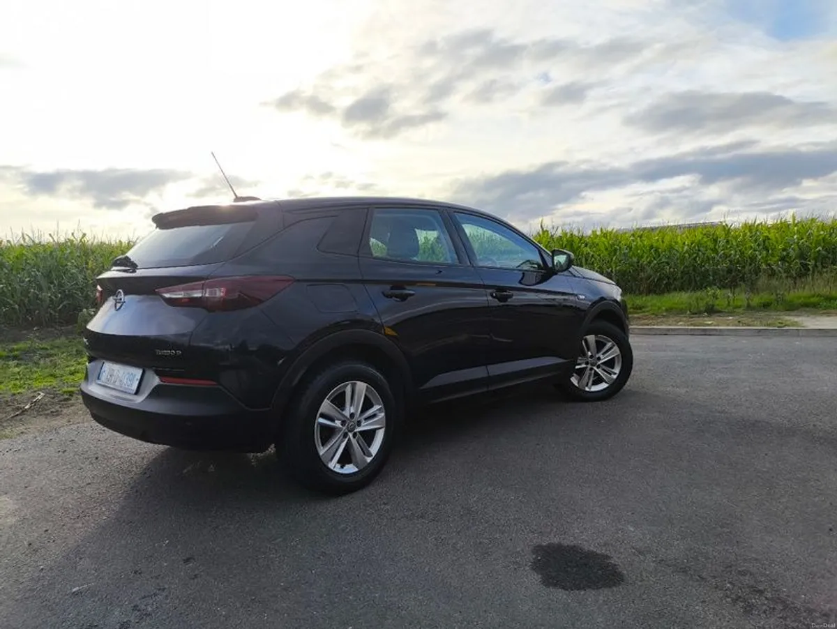 2019 Opel Grandland X - Image 4