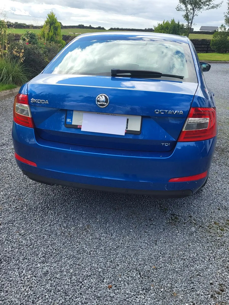132 Skoda 0ctavia Ambition - Image 2