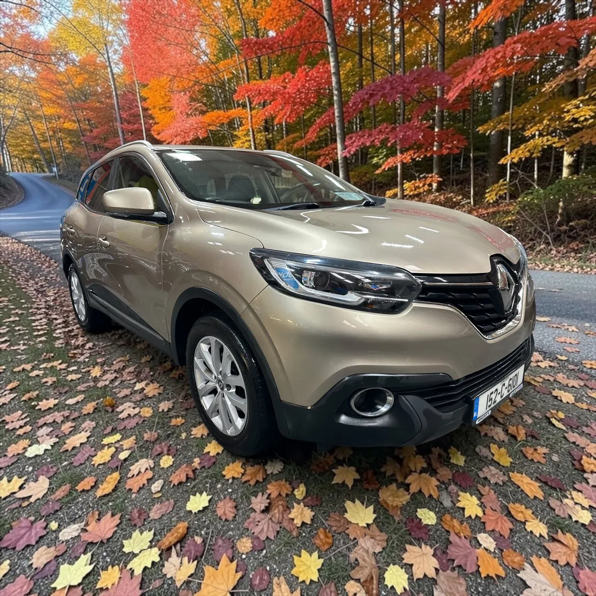 2015 Renault Kadjar 1.5 dCi 110  Dynamique Nav - Image 5