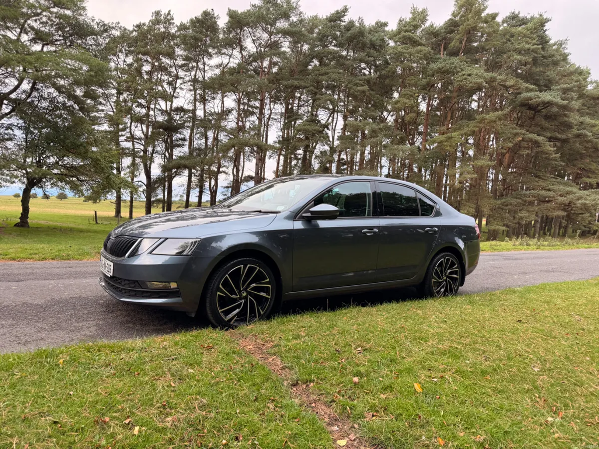 Skoda Octavia 2018 1.6 TDI - Image 3