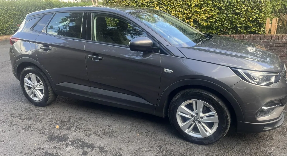 Opel Grandland X 2020 - Image 1