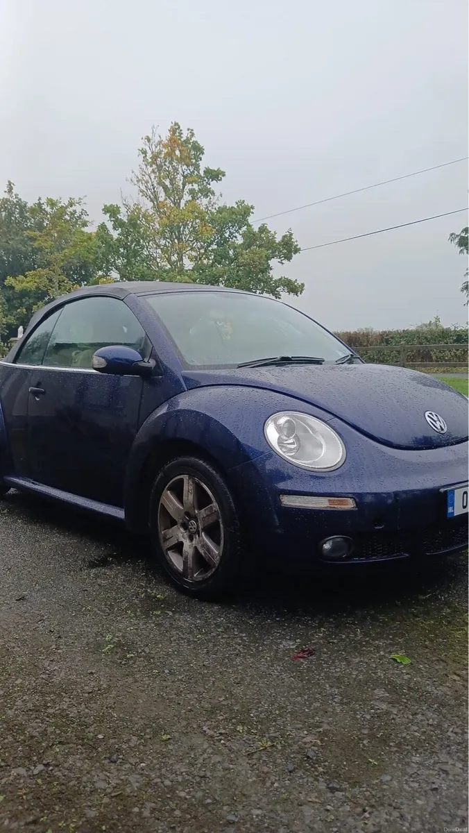 Convertible Volkswagen Beetle - Image 2