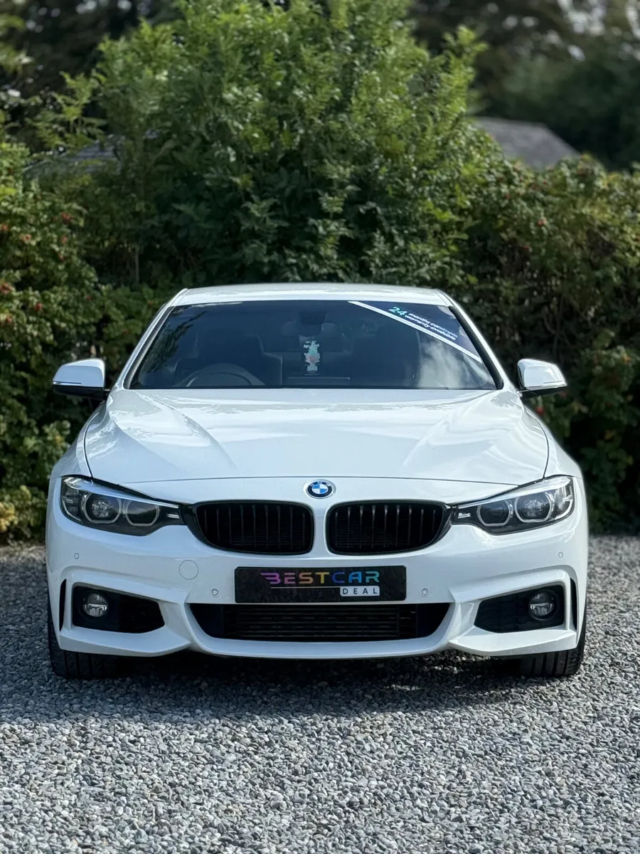 2019 BMW 420d M Sport Auto - Image 6