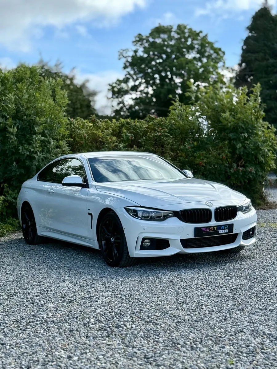 2019 BMW 420d M Sport Auto - Image 2