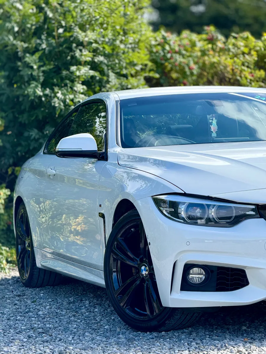 2019 BMW 420d M Sport Auto - Image 4