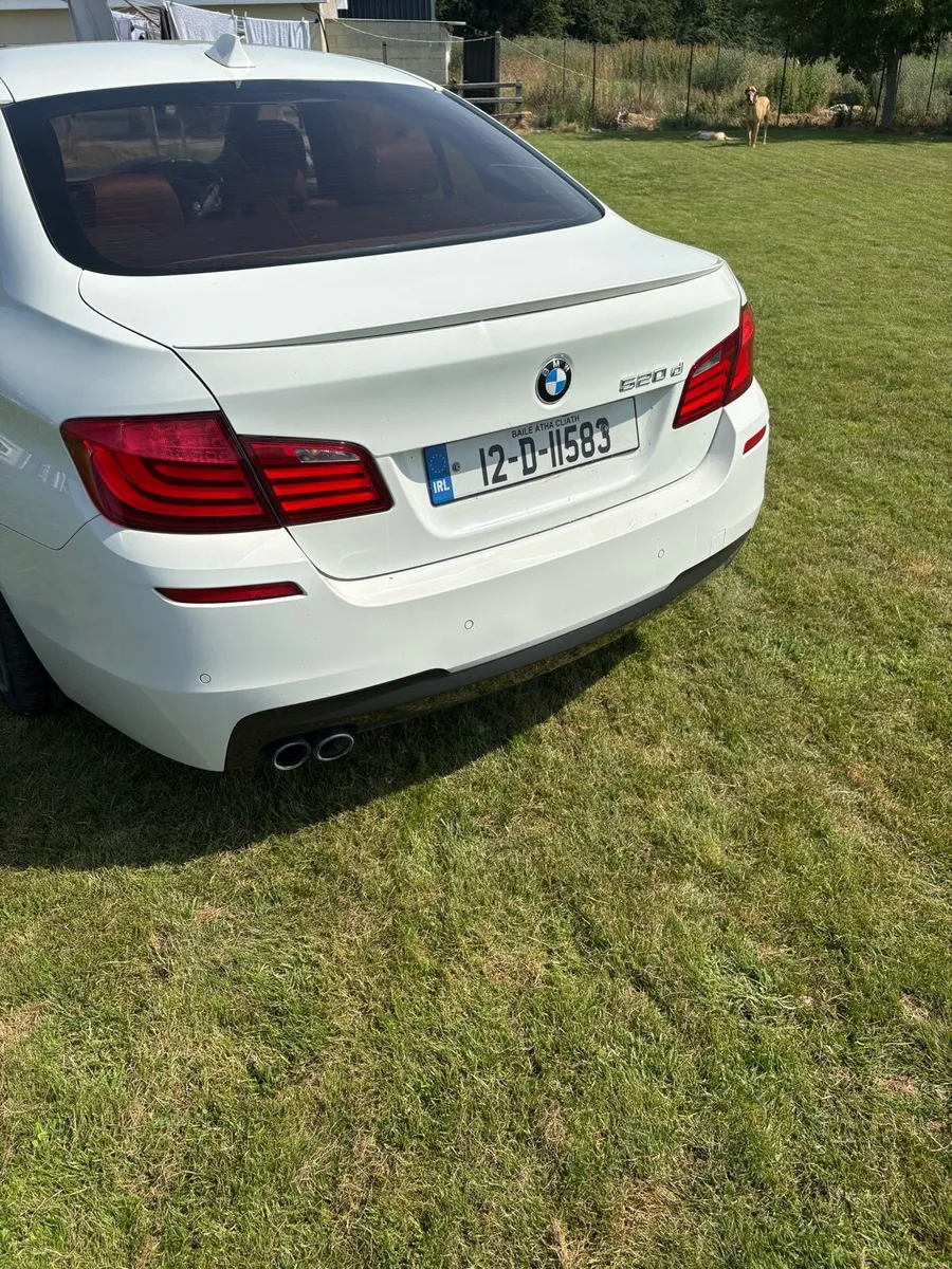 520d msport bmw - Image 6