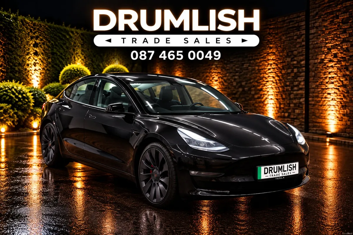 2022 Tesla Model 3 Performance AWD Long Range D-M - Image 1