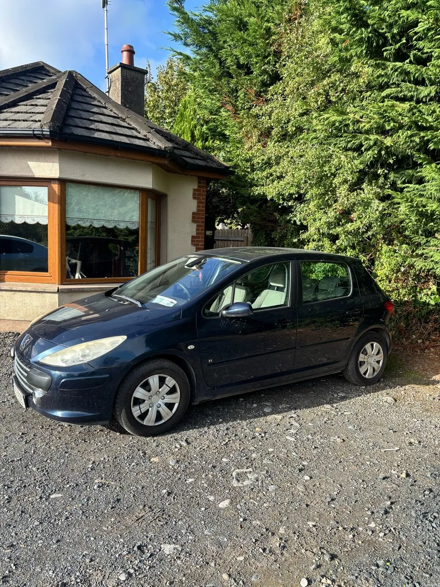 Peugeot 307 - Image 1