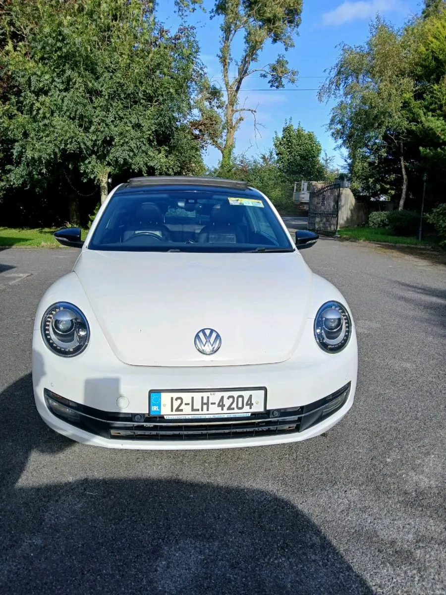 Volkswagon Beetle Sport - Image 1