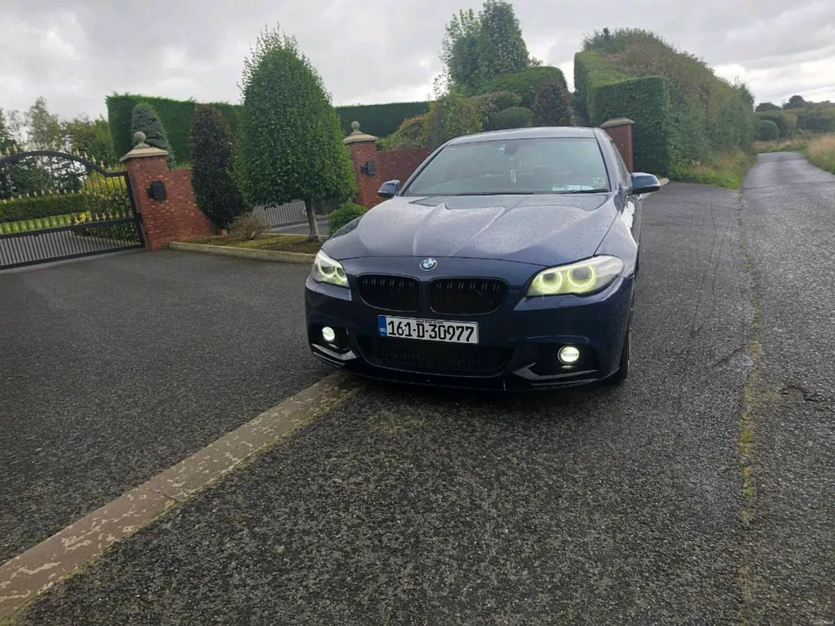 2016 Bmw F10 520d Msport - Image 1