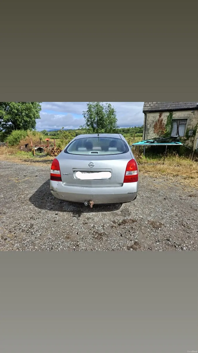 Nissan primera - Image 2