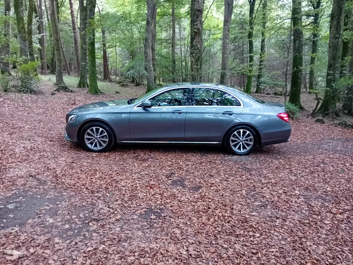 181 Mercedes-Benz E220D AUTO AVANTGARDE SALOON - Image 4