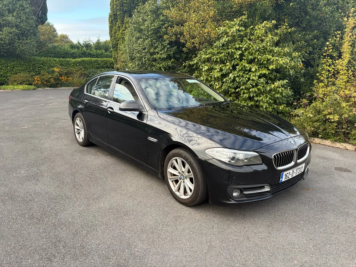BMW 520d SE - Image 1