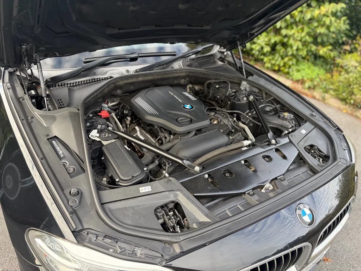 BMW 520d SE - Image 6
