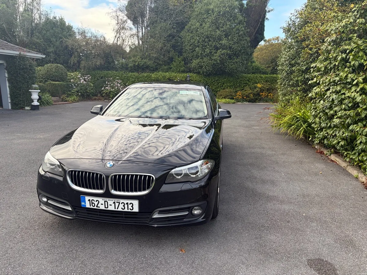 BMW 520d SE - Image 3
