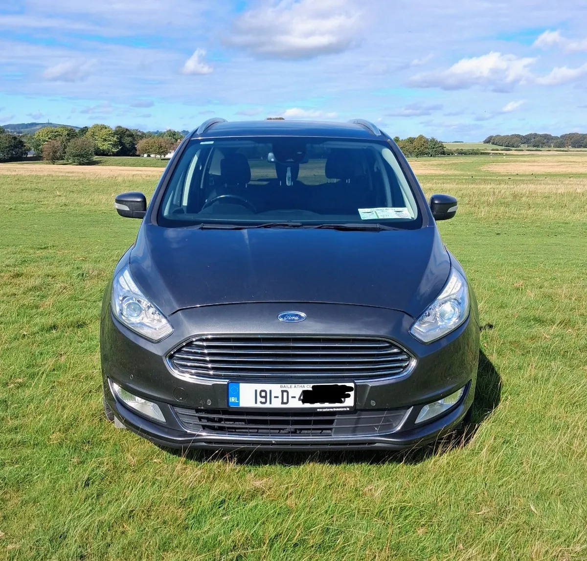 Ford Galaxy 2019 Titanium 2.0D Ecoblue - Image 1