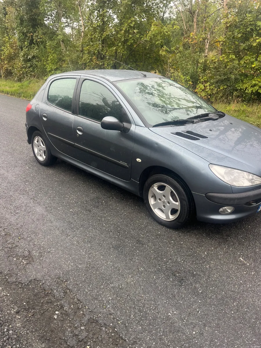 Peugeot 206  1.4 petrol - Image 4