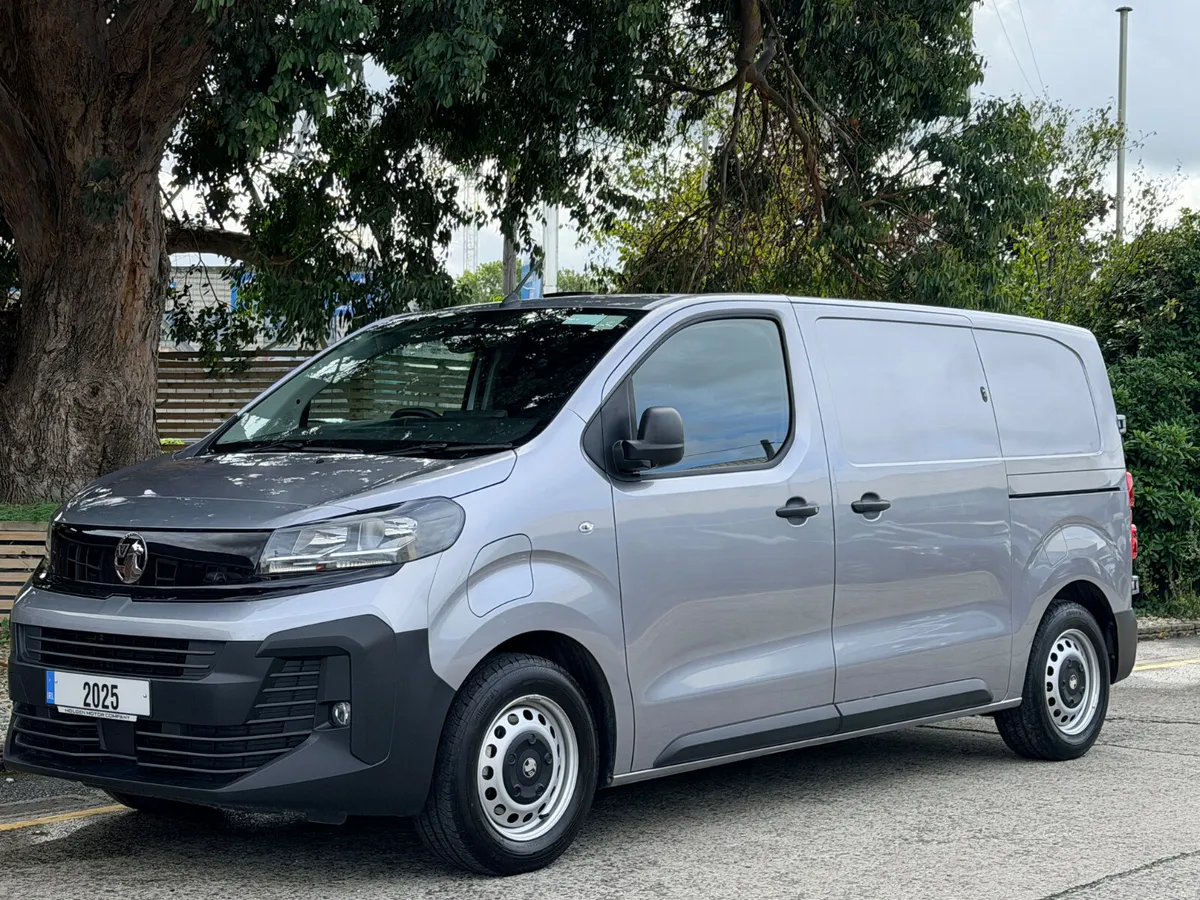 2025 OPEL VIVARO - Image 2