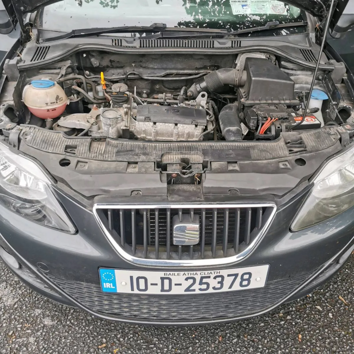 Seat Ibiza - Image 5