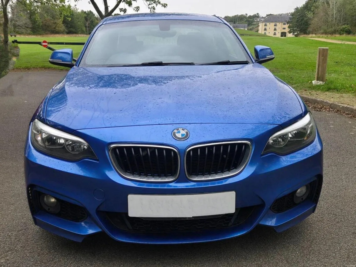 BMW 2-Series 218 M-Sport - Image 3