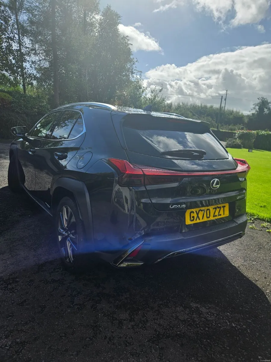 Lexus UX 250h F Sport - Image 3