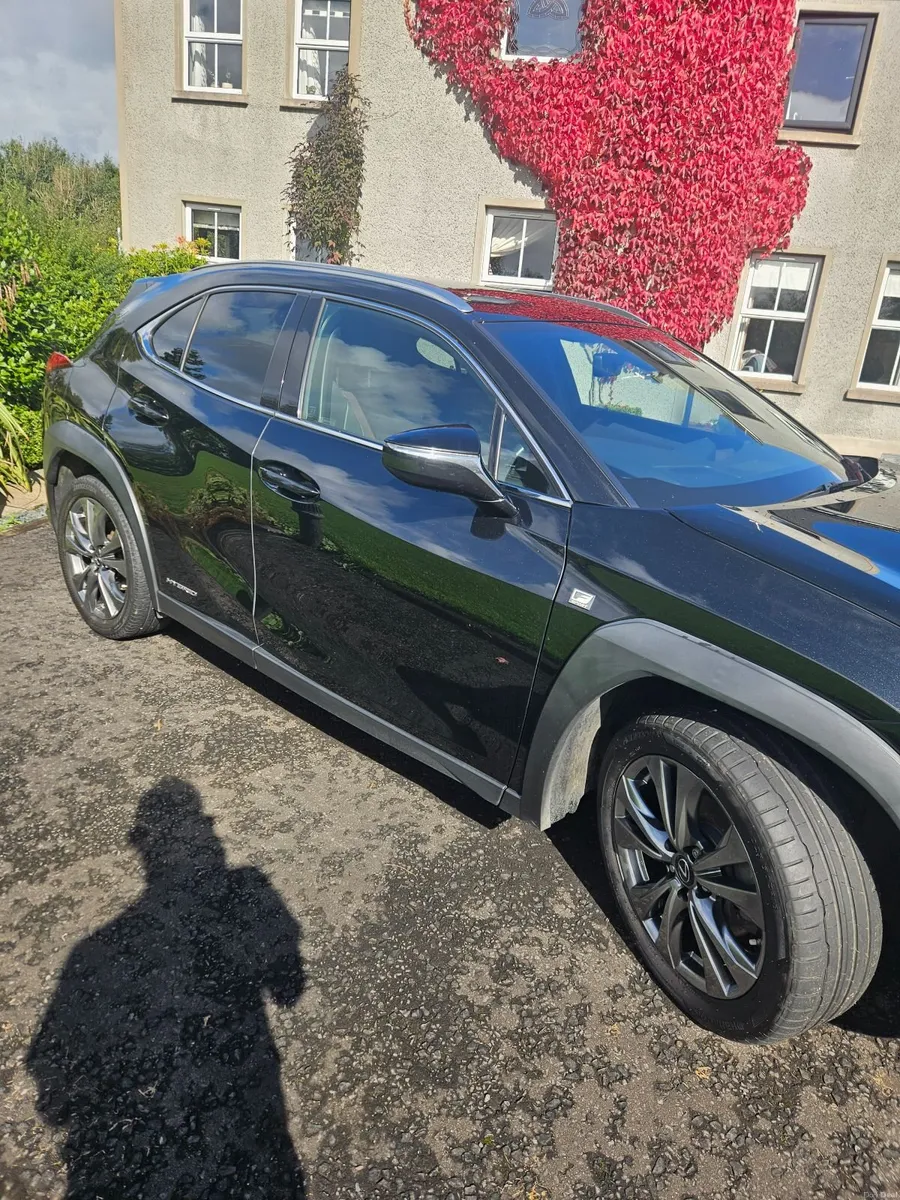 Lexus UX 250h F Sport - Image 6