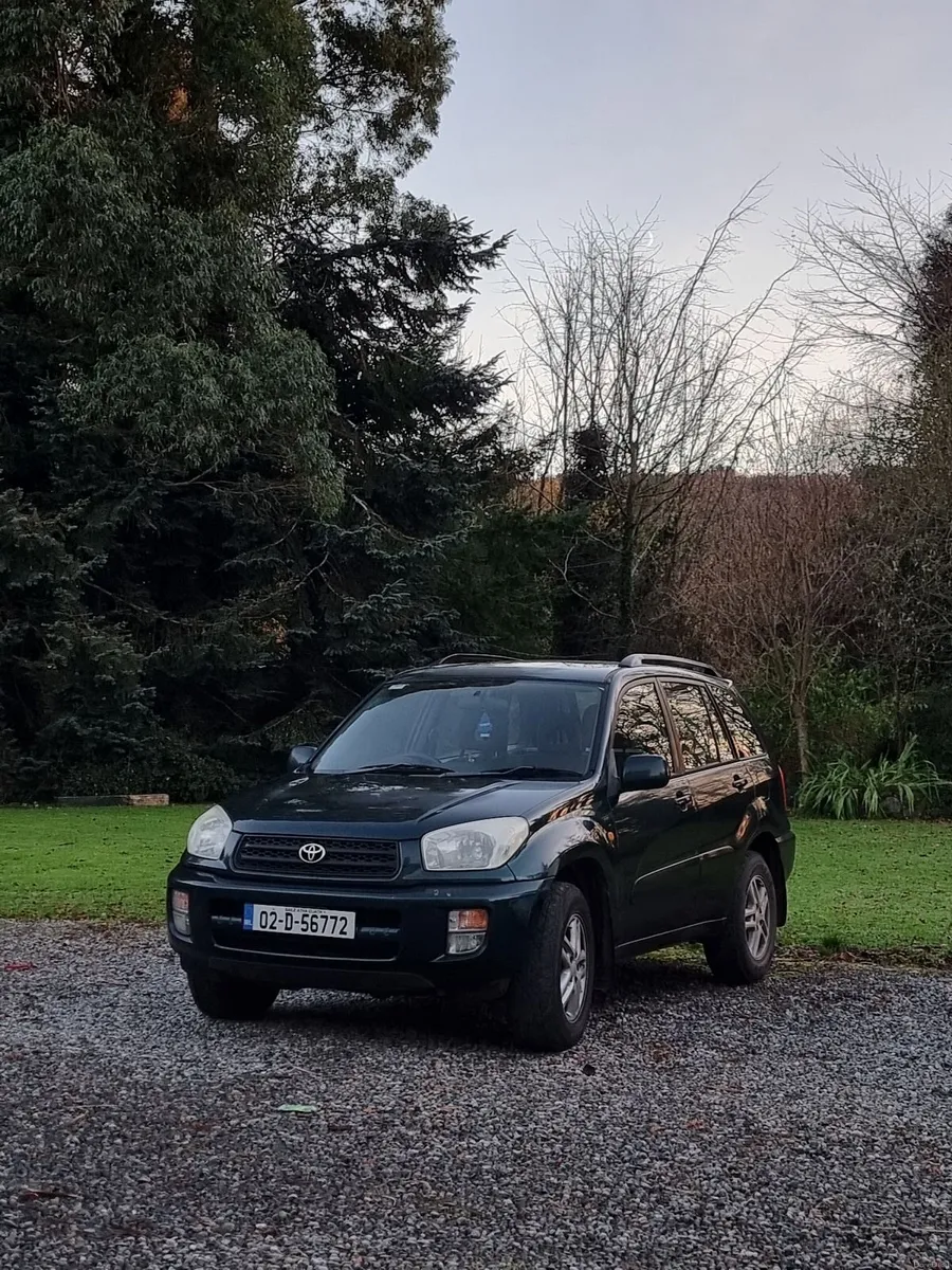 Green Toyota RAV4 2002 - Image 1