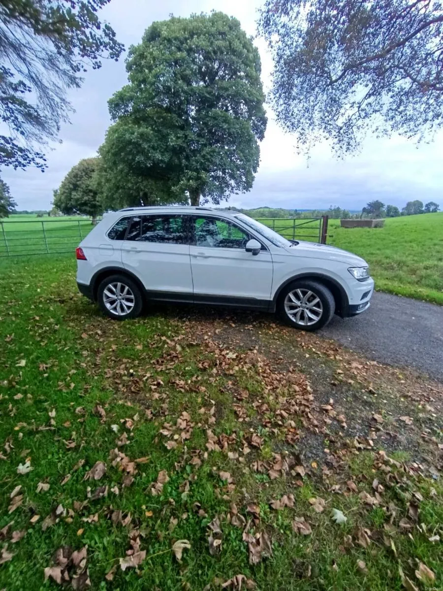 Tiguan - Image 1