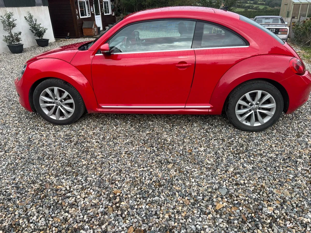 Volkswagen Beetle - Image 1