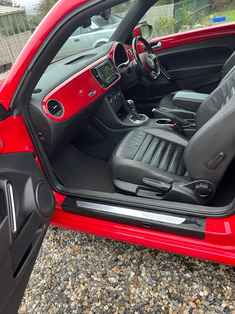 Volkswagen Beetle - Image 5