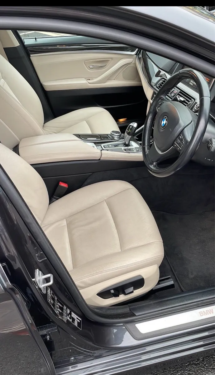BMW 520d Luxury (Full BMW service history) - Image 2