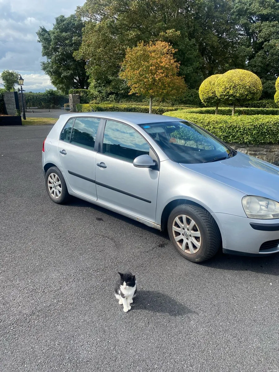 Vw golf - Image 4