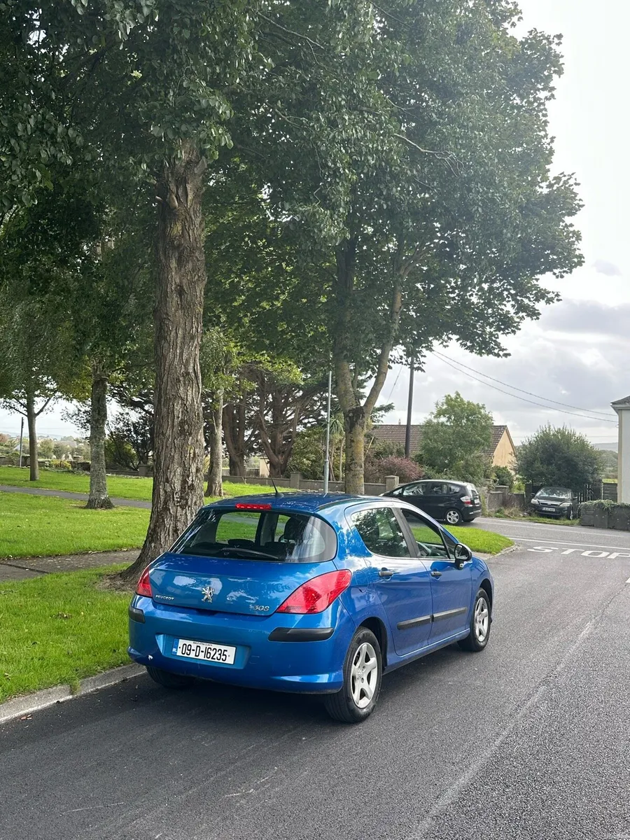 2009 Peugeot 308 - Image 2