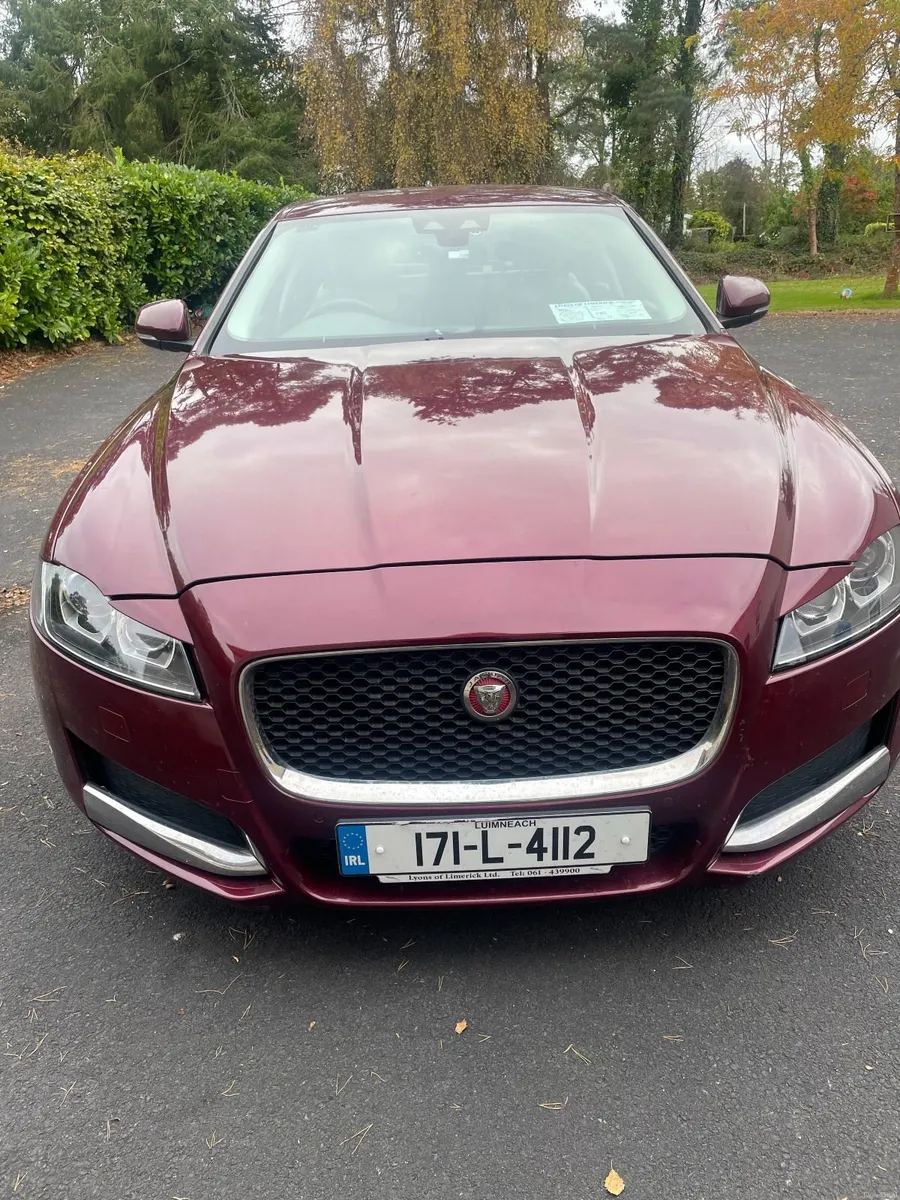Jaguar  2017 - Image 2