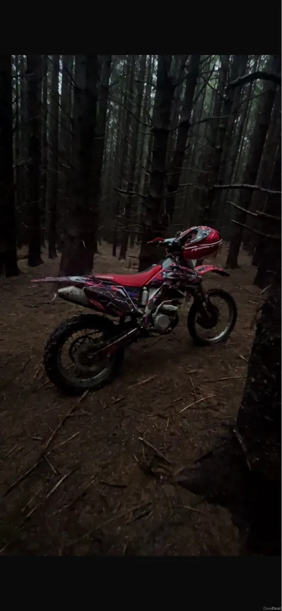 06 crf 250x - Image 5