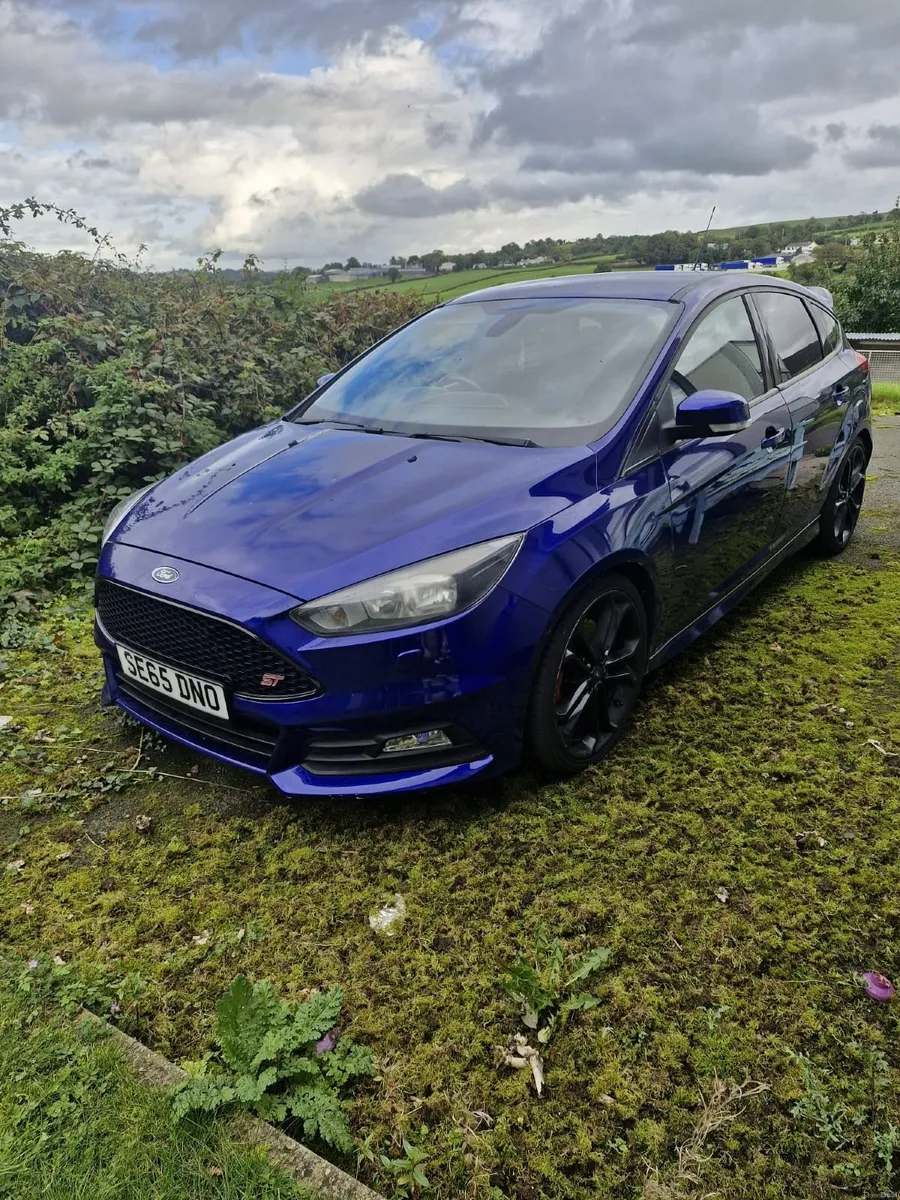 Ford Focus st2 - Image 2
