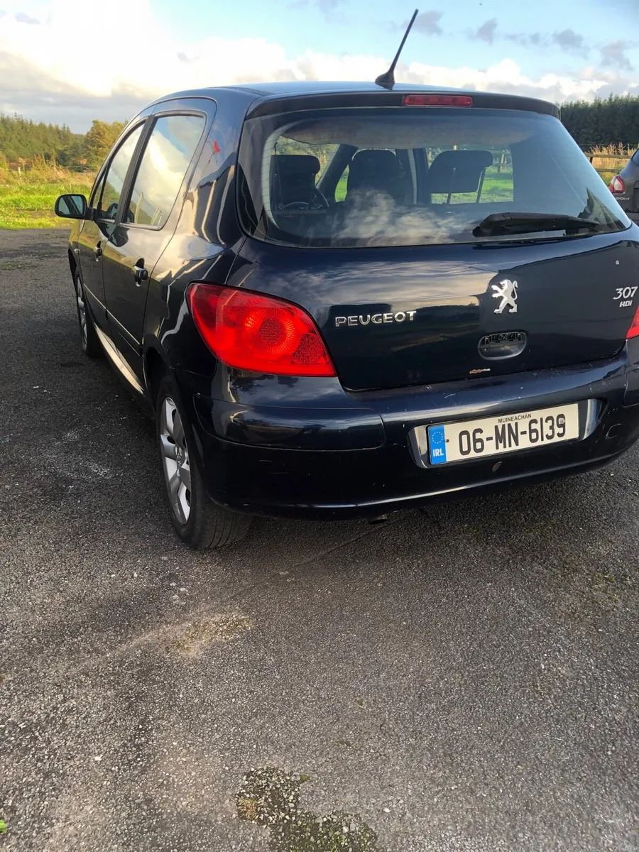 Peugeot 307 1.6HDI - Image 6